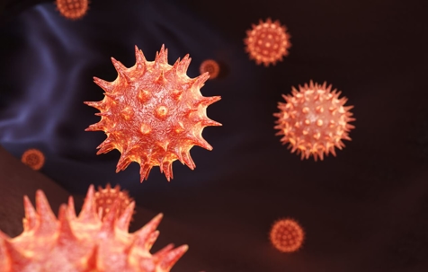 microscopic view of pollen
