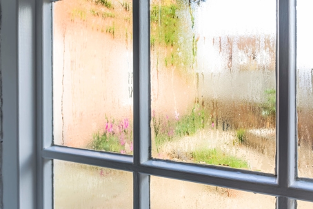 moisture on window
