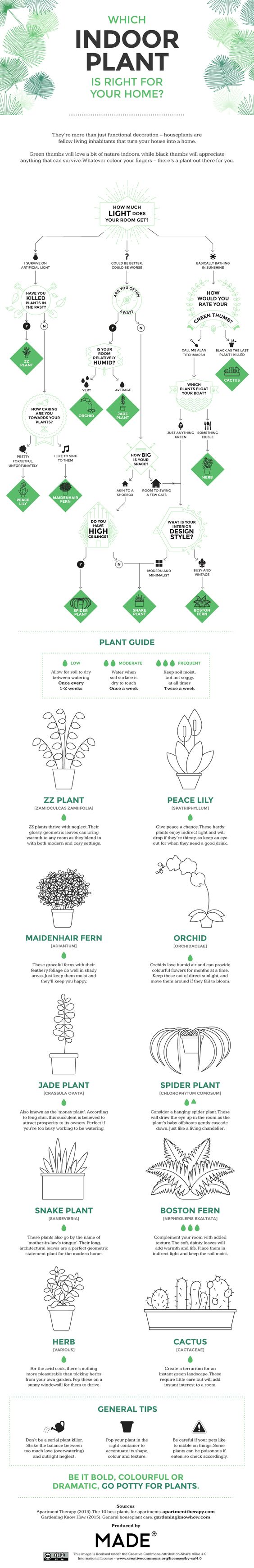 Which Indoor Plant is Right for Your Home Infographic Which Indoor Plant is Right for Your Home Infographic